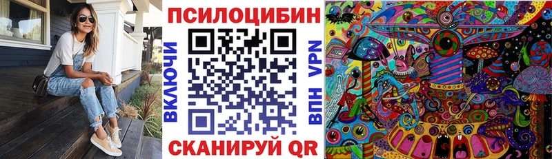 Купить где  Октябрьский  Псилоцибиновые грибы мицелий 